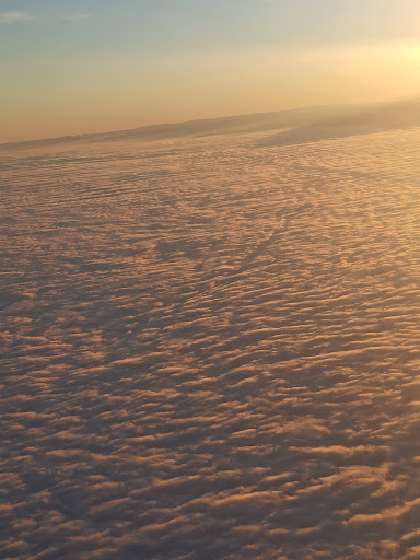 Casa Pariurilor