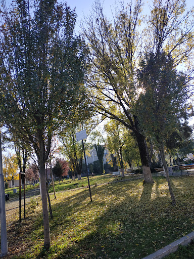 Bocșa Română
