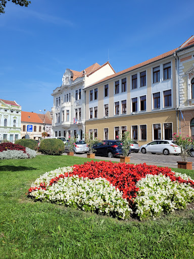 Târgu Secuiesc