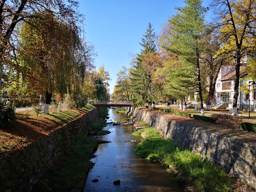 Parc Central Covasna